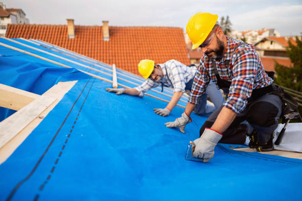 Best New Roof Installation  in West Melbourne, FL